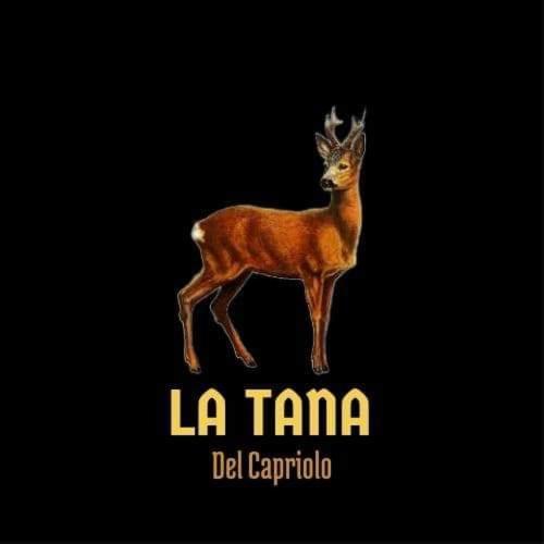 Апартаменти La Tana Del Capriolo Prati di Tivo Екстер'єр фото