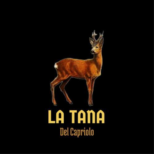 Апартаменти La Tana Del Capriolo Prati di Tivo Екстер'єр фото
